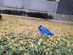 -四川大学(华西校区)