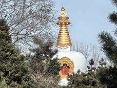 -护国法轮寺