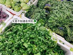 -济南海鲜大市场