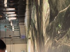 -大榕树下顺德菜(融创茂店)
