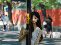 -北京国子监胡同