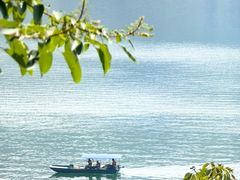 -广州市流溪河国家森林公园