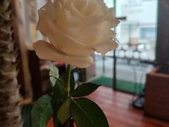 -岛风·台食小馆 ISLAND BISTRO(烟台山店)