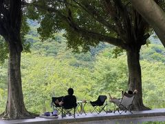 -风云岭森林公园