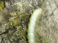 -重庆海昌加勒比海水世界