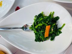 -梧桐