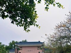 -水濂山森林公园