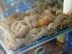 -香满居张记小厨私房菜(青岛站店)