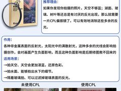 -CGWANG王氏教育(上海校区)