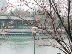 -望江楼公园