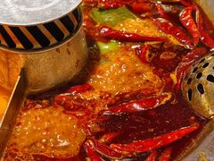 -蜀大侠火锅(总府路店)