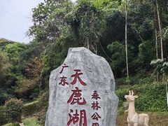-天鹿湖森林公园