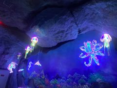 -福州罗源湾海洋世界旅游区