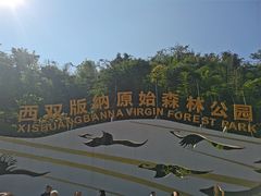 -西双版纳原始森林公园