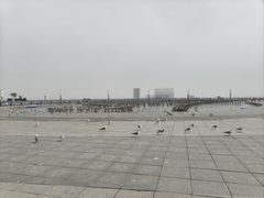 -东港音乐喷泉广场