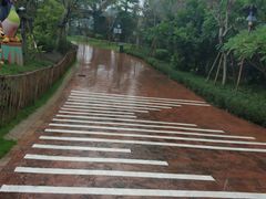 -美的鹭湖探索王国