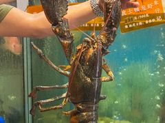 -朱仔记食府(江南大道店)