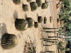 -东莞植物园