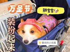 -隐溪茶馆(静安寺店)