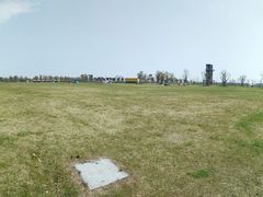 -春花秋色城市公园