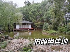 -新洲生态园