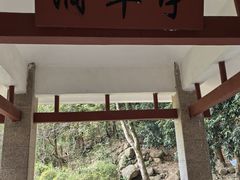 -火炉山森林公园