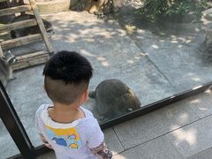 -森波拉奇妙世界