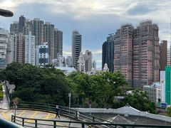 -香港大学
