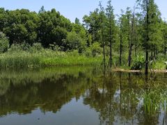 -澹台湖公园
