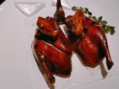 -甄御•海鲜新青岛菜(麦岛店)