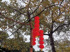 -新榕记滨江壹號
