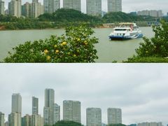 -橘子洲景区
