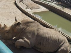 -哈尔滨北方森林动物园