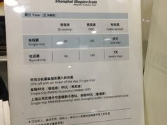 -龙阳路磁悬浮列车总站-停车场