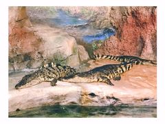 -福州罗源湾海洋世界旅游区