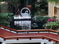 -白天鹅宾馆·流浮阁咖啡厅