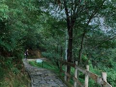 -大岭沟猕猴桃谷风景区