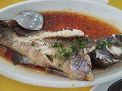 清蒸石斑鱼-秋姐美食店(旅游大道店)