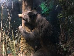 -陕西自然博物馆