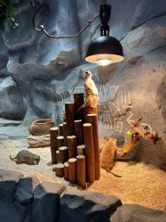 -Zoolung Zoolung动物主题公园(海信广场店)