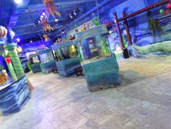 -酷嗒动物文化乐园(cutezoo西溪乐天城店)