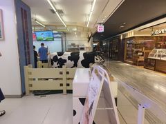 -红星前进面包牛奶公司(君太店)