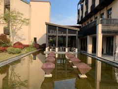 -上海崇明金茂凯悦酒店