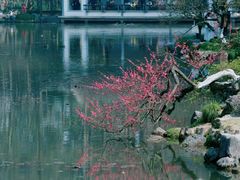 -杭州植物园