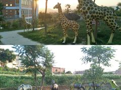 -泉州海丝野生动物世界