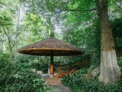 -天目湖御水温泉·度假酒店