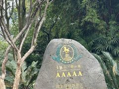 -都江堰景区