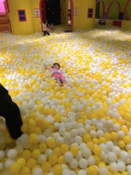 -宝燕乐园(闵行旗舰店)