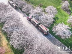 -上海辰山植物园