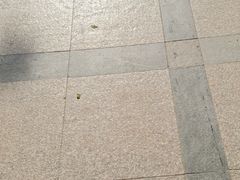 -招商银行(北京青年路支行)